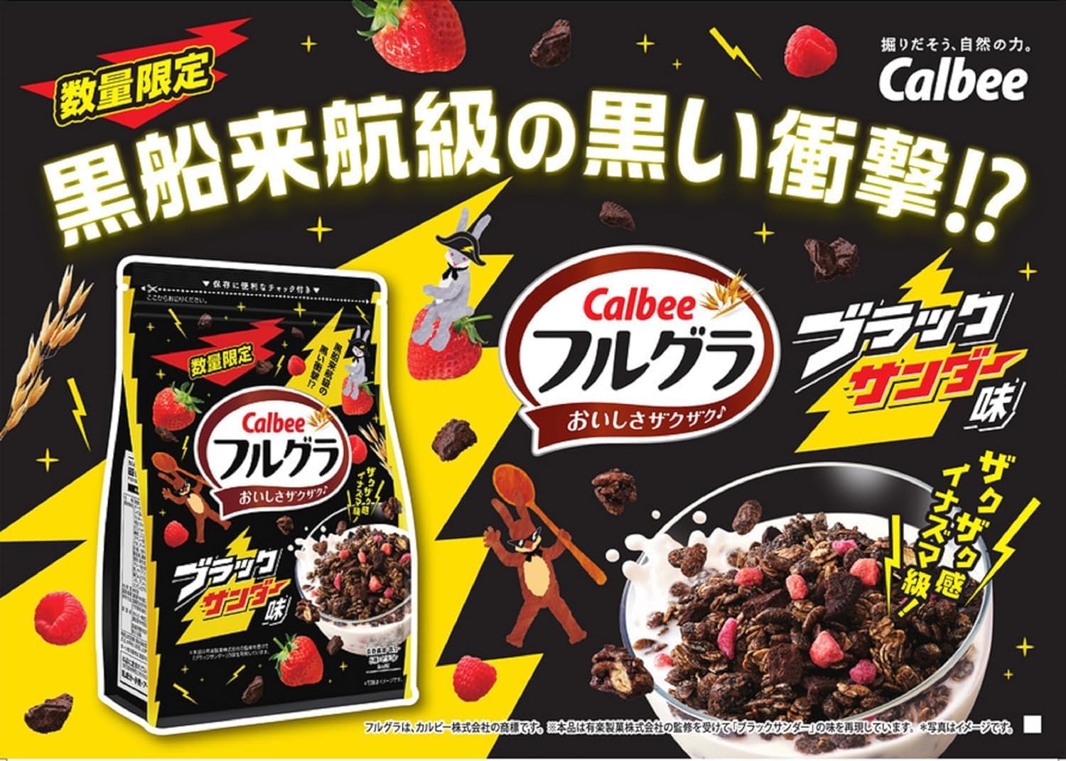 Amazon.co.jp: フルグラ ブラックサンダー味 500g ×6袋 PSJBOX : 食品