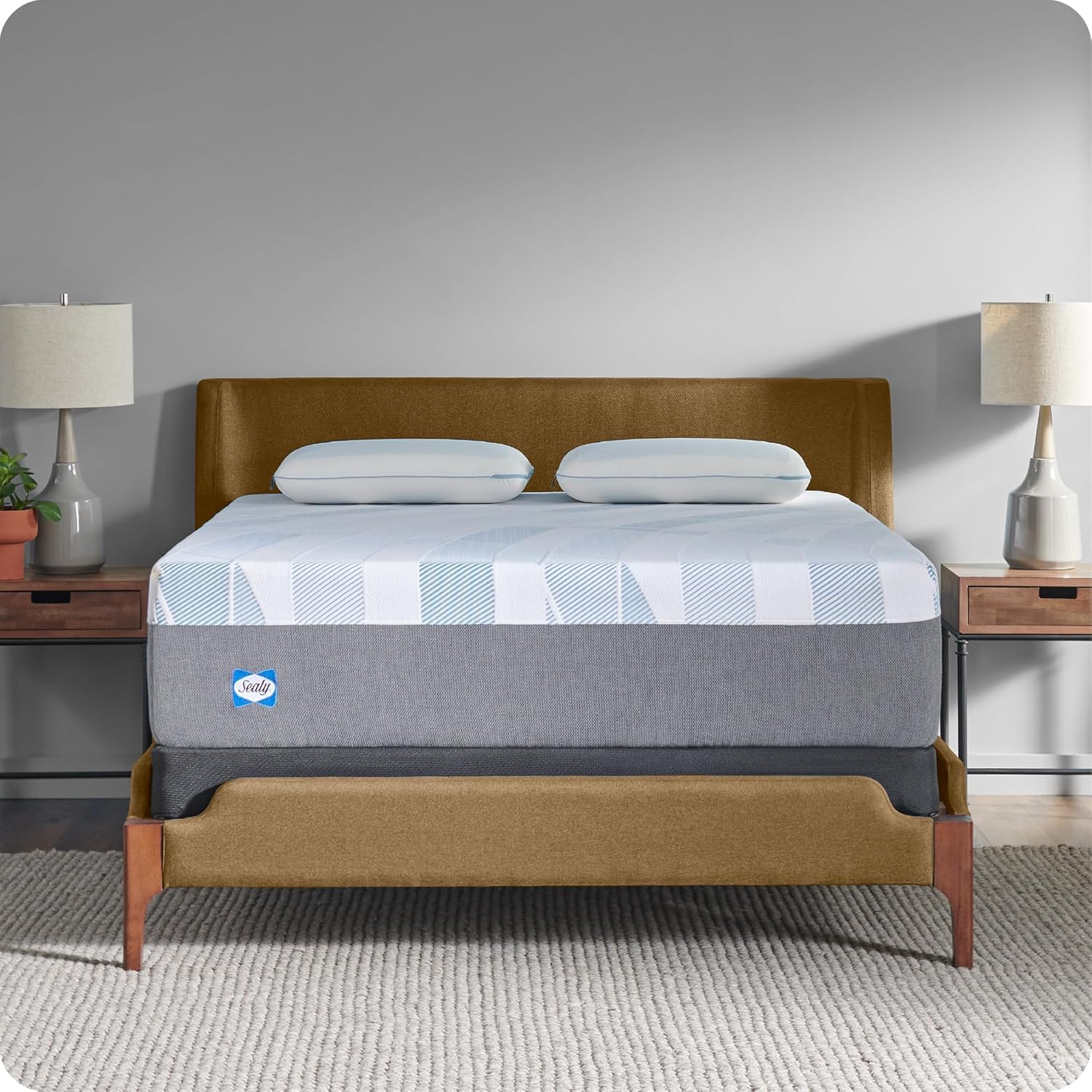 Sealy Dreamlife Foam Mattress
