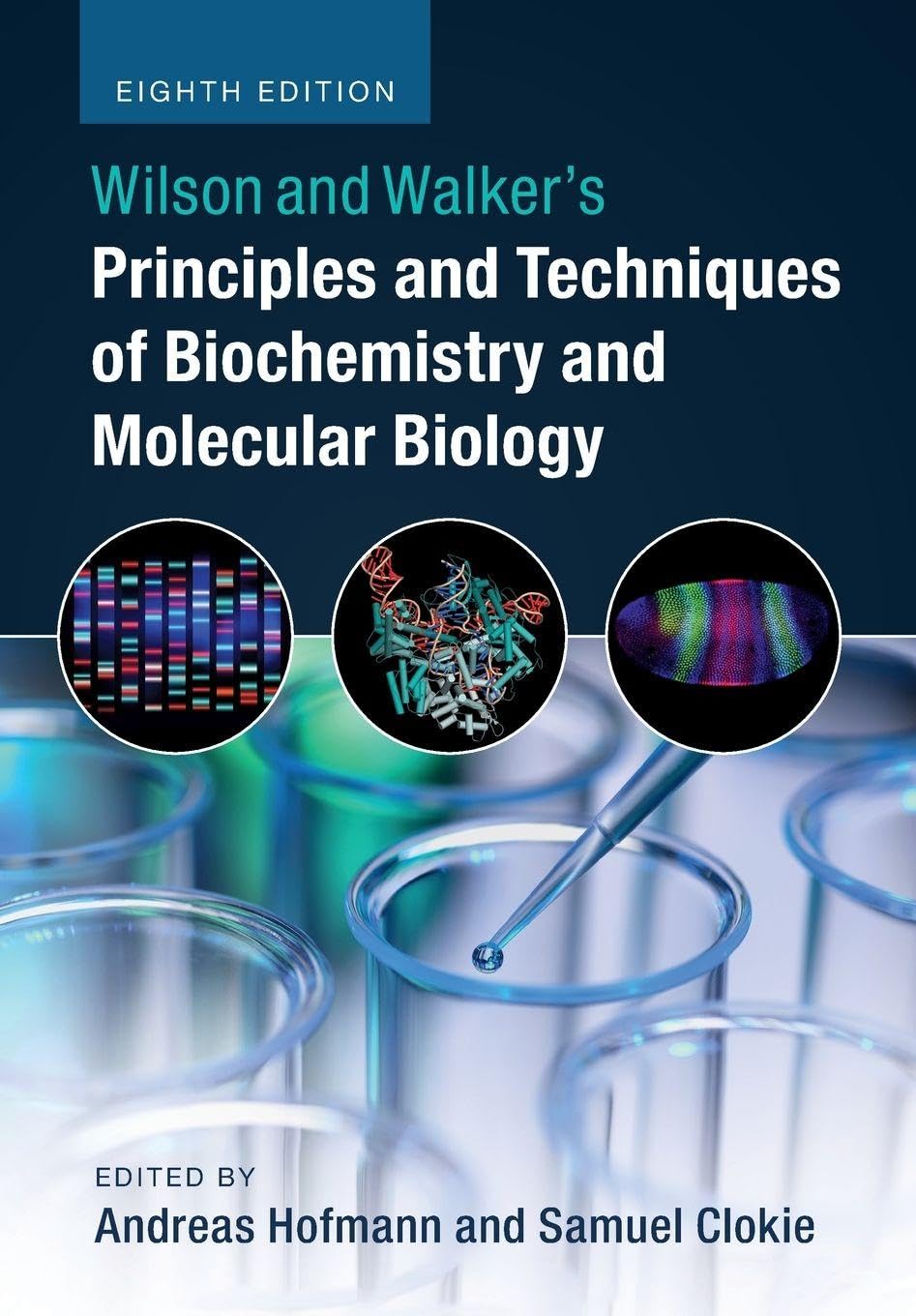 Wilson and Walker's Principles and Techniques of Biochemistry and Molecular Biology Paperback – Big Book, 19 April 2018