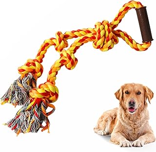 chase n pull dog toy