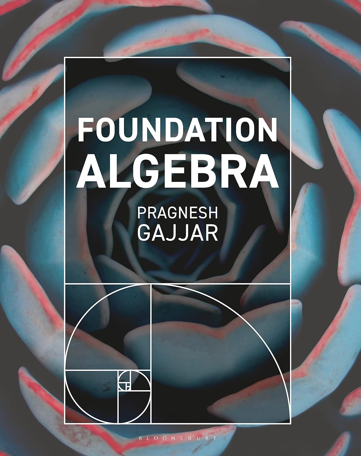 Foundation Algebra      1st Edition, Kindle Edition