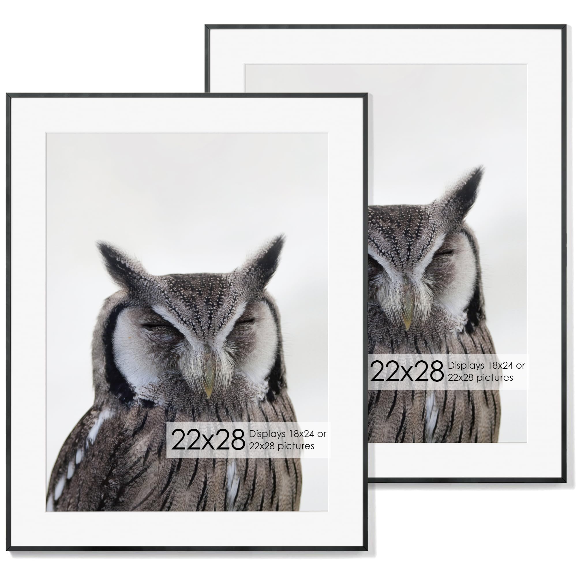 22x28 Metal Picture Frame with 18x24 Mat, Brushed Aluminum Finish, Tempered Glass Front, and Attached Hanging Hardware - Wall Display Frames for Vertical or Horizontal Set of 2 - Black