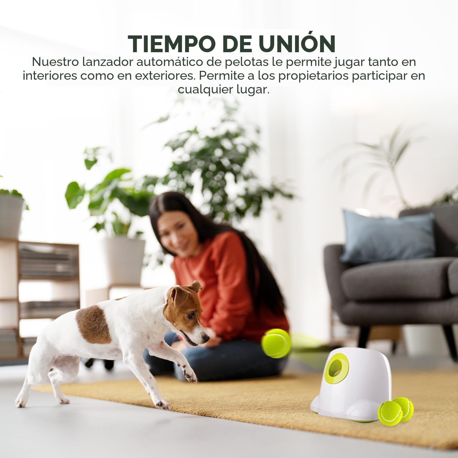 ALL FOR PAWS Lanzador de pelotas para perros pequeños, juguete interactivo para perros, lanzador de pelotas de tenis, entrenamiento mental, juguete para lanzar pelotas con 3 bolas de 5 cm incluidas
