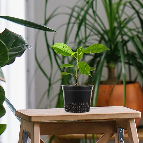 Miniatura 8 de Paquete de 10 macetas de red de 5 pulgadas, macetas de red de plástico resistentes, macetas de red de cultivo hidropónico, tazas de red de malla