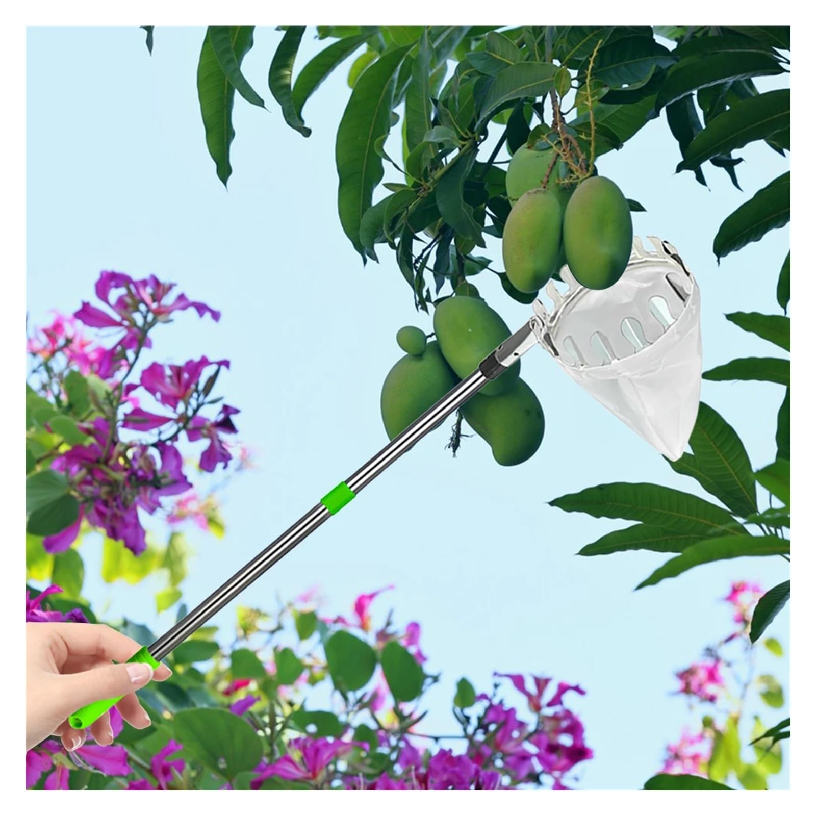 Recogedor De Frutas Recolector de frutas con bolsa de almacenamiento, de acero inoxidable, for árboles altos y huertos.(2.0m)
