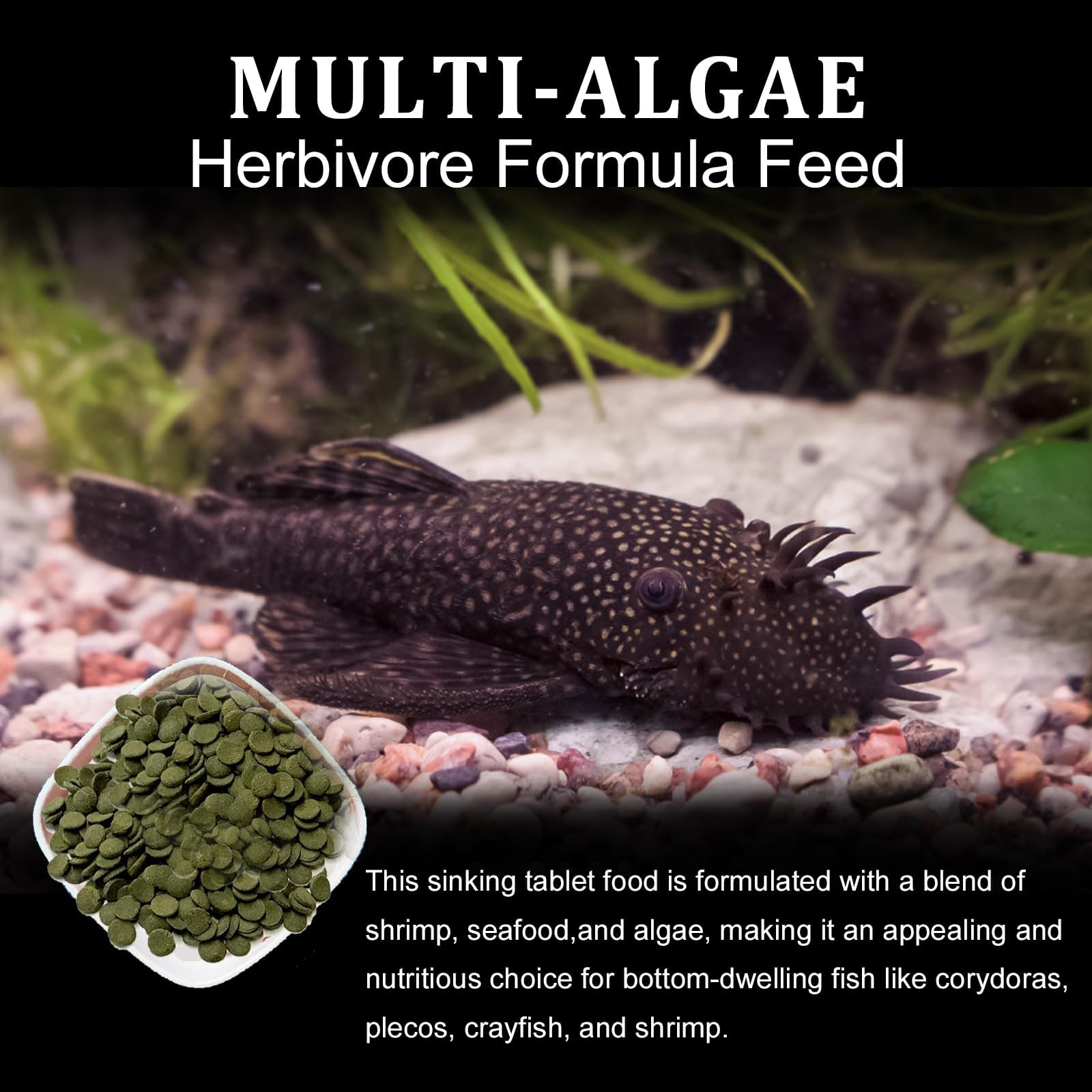 Bubble Magus Algae Wafers Pleco Food, Spirulina & Algae, Sword Prawns, Balanced Diet, Color Enhancing, All Natural Ingredients, for Algae Eaters, Bottom Feeders, Vegetables Shrimp Pie (5.2oz)