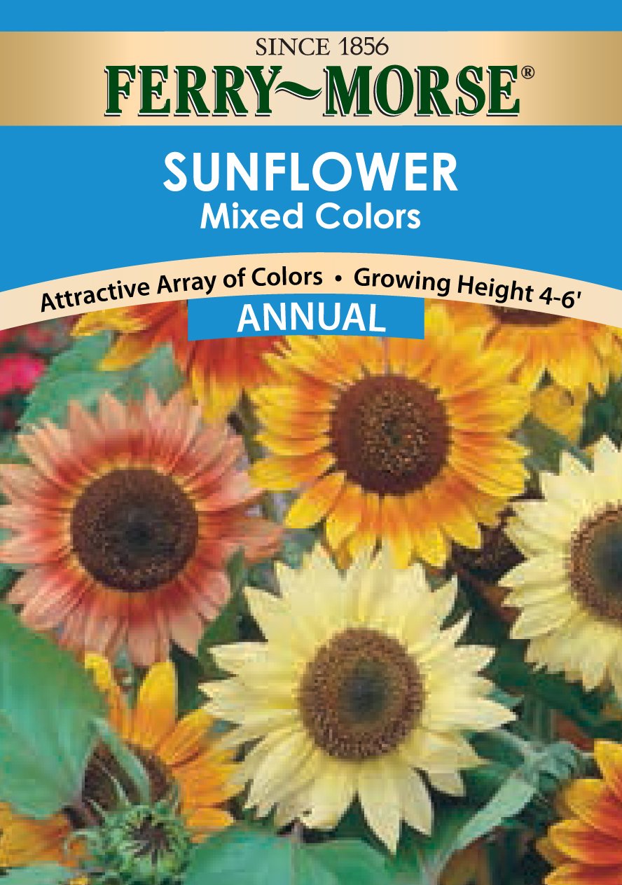 Ferry-Morse Sunflower Mixed Colors Seeds (Annual)