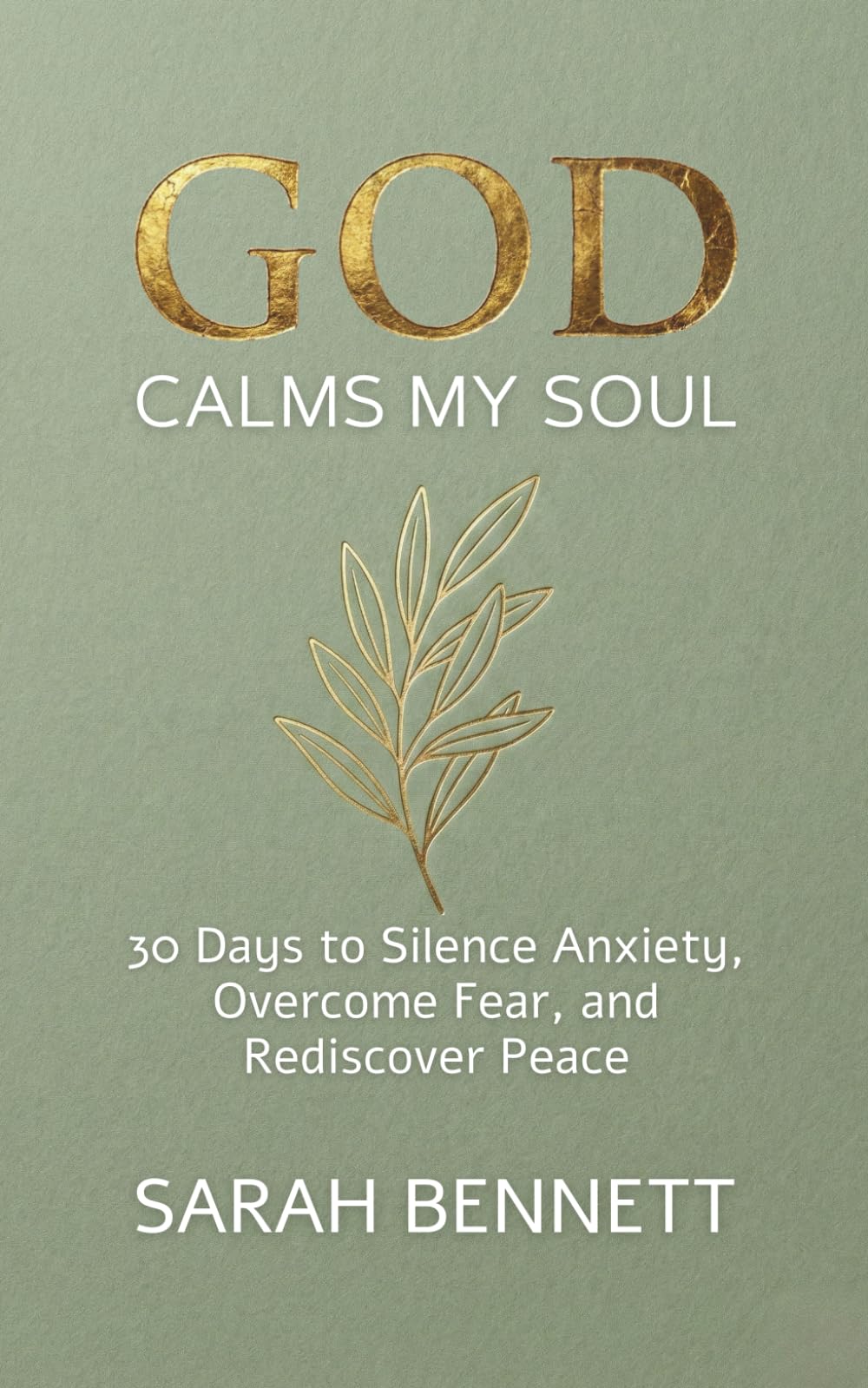 God Calms My Soul: A 30-Day Devotional to Silence Anxiety, Overcome Fear, and Rediscover Peace in the Chaos. (Soul Journey Collection)
