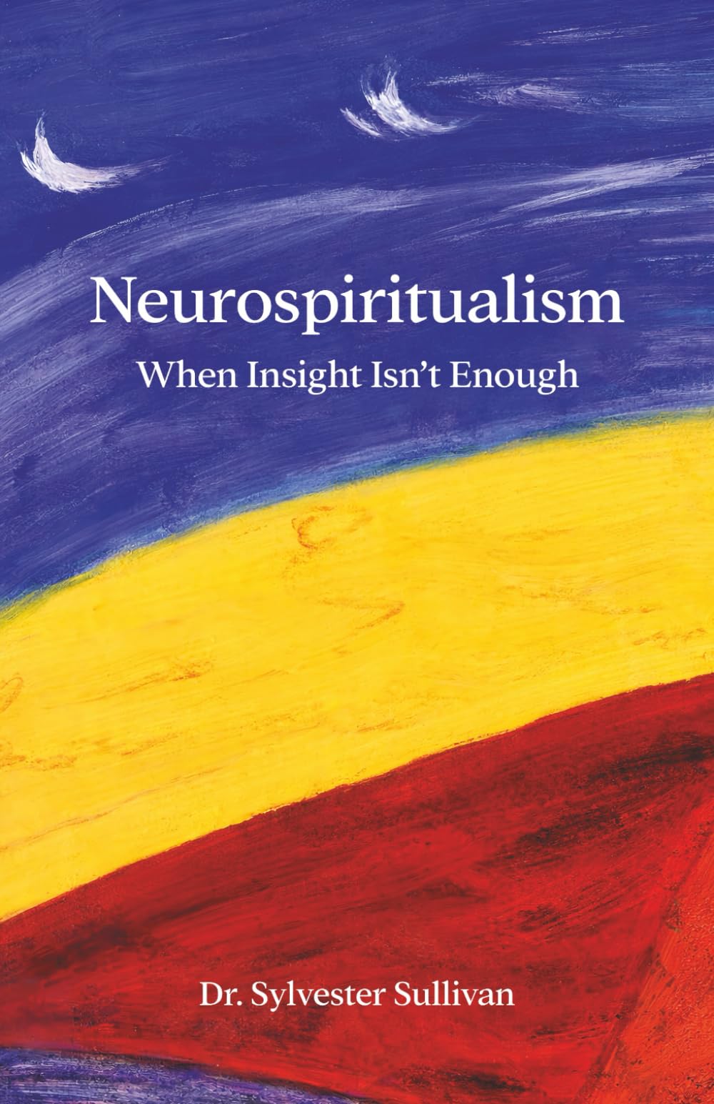Neurospiritualism: When Insight Isn’t Enough (The Neurospiritualism Series)