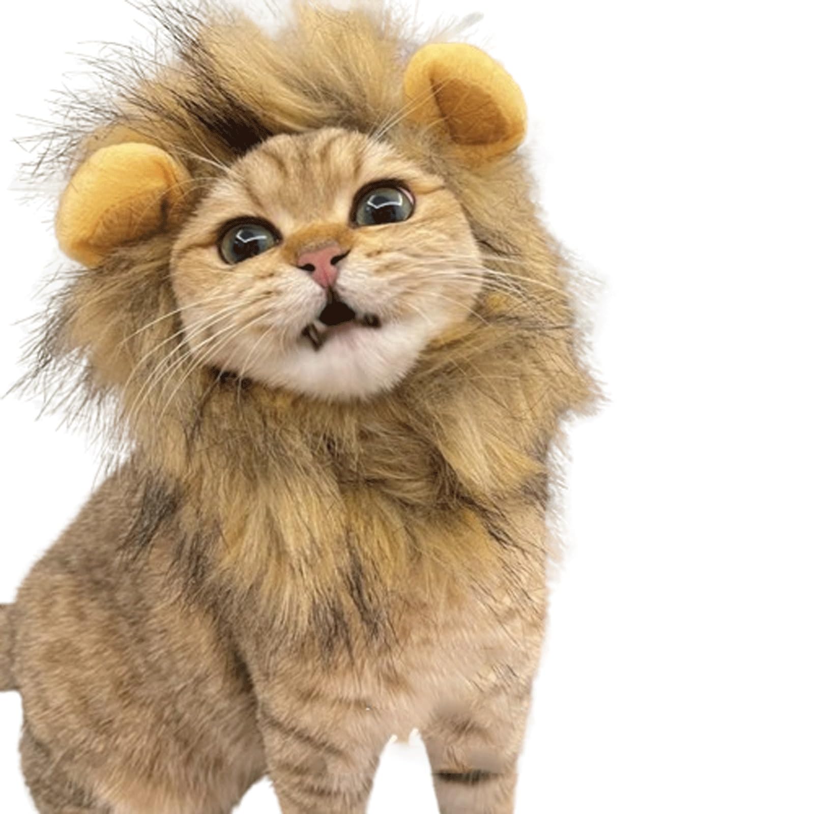 Ensemble de tête de chaton lion ajustable de 24-34cm pour déguiser sans stress