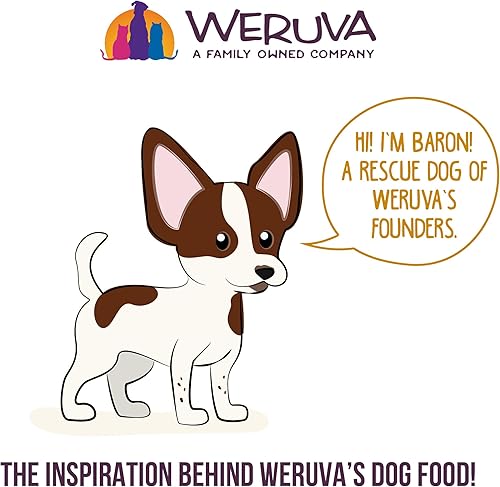 Miniatura 7 de Weruva Comida clásica para perros, Let's Give Em' Pumpkin to Talk About Paquete variado, lata de 5.5 onzas (paquete de 12)