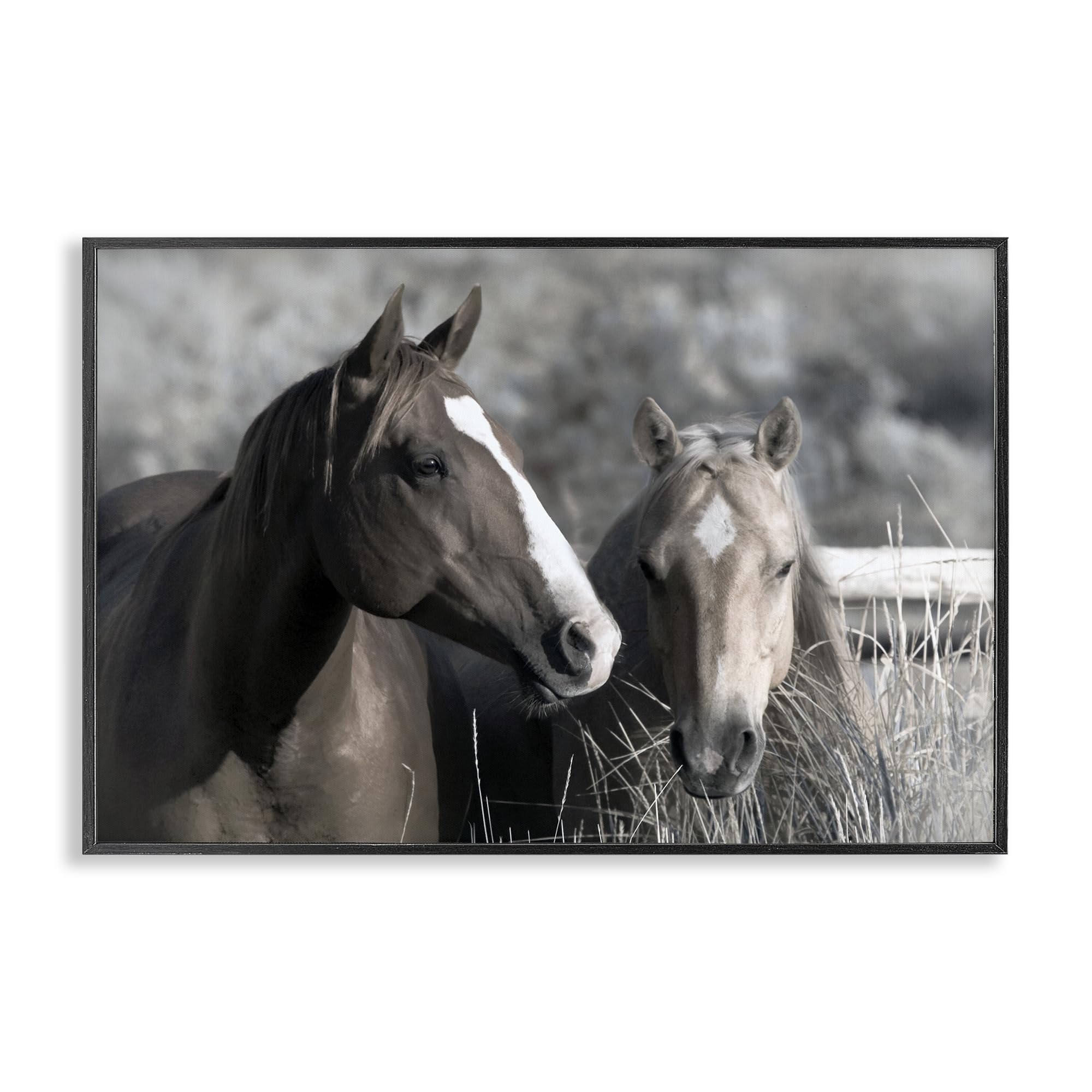 Stupell Industries 'Content Horses In Pasture', Framed Giclee Art, Black, 30 x 20 Inches, Easy to Hang and Sturdy, Made in USA, by Danita Delimont