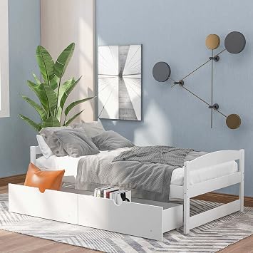 Twin Size Solid Wood Bed Frame with 2 Storage Drawers, Modern Storage Sofa Daybed, Sturdy Wood Slats Support for Dorm, Bedroom, Guest Room, No Box Spring Need White