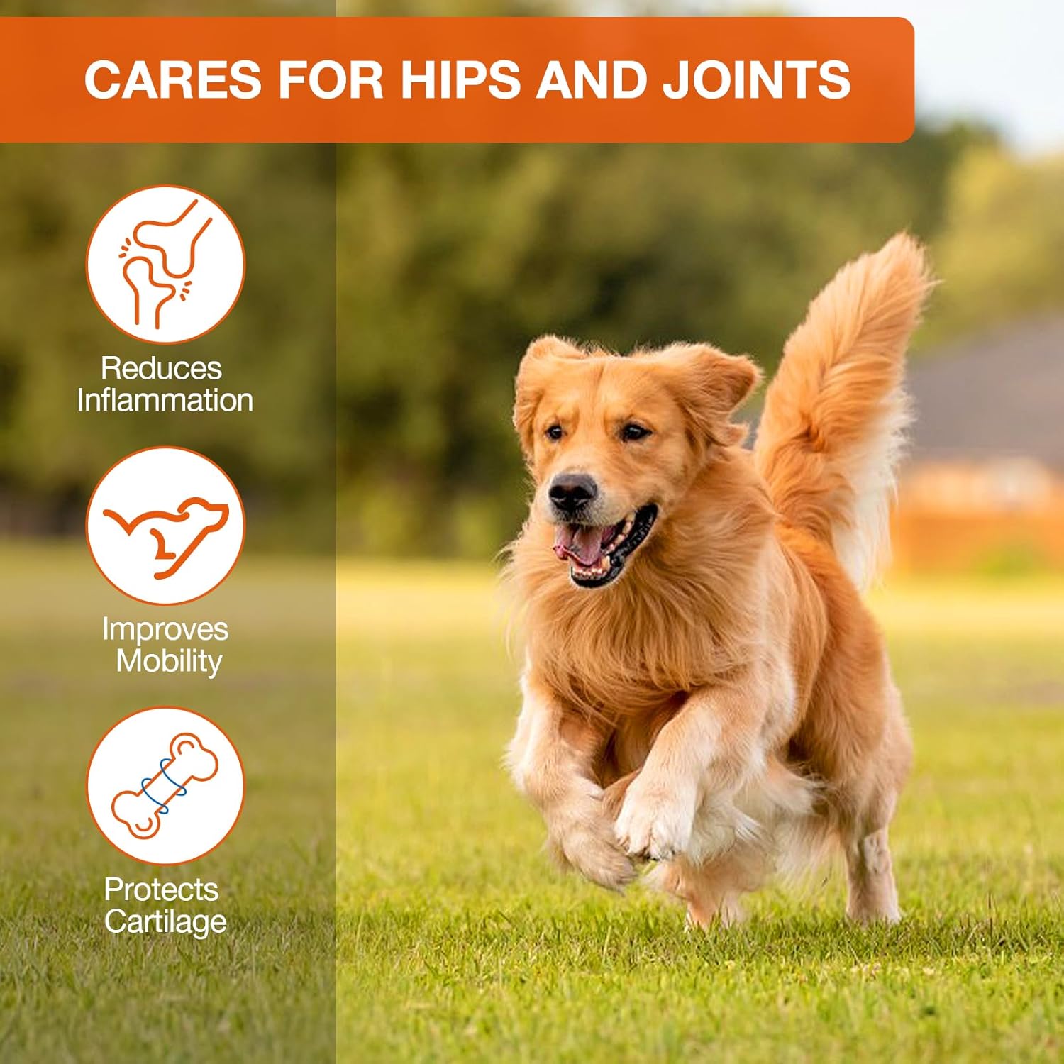 180 Counts Dog Calming Chews, Неmр Calming Chews for Dogs, Anxiеty Rеlief Treats, Promote Rеlaxation, Dog Supplements for Thunderstorms, Separation, Strеss, Barking, Chicken Flavor