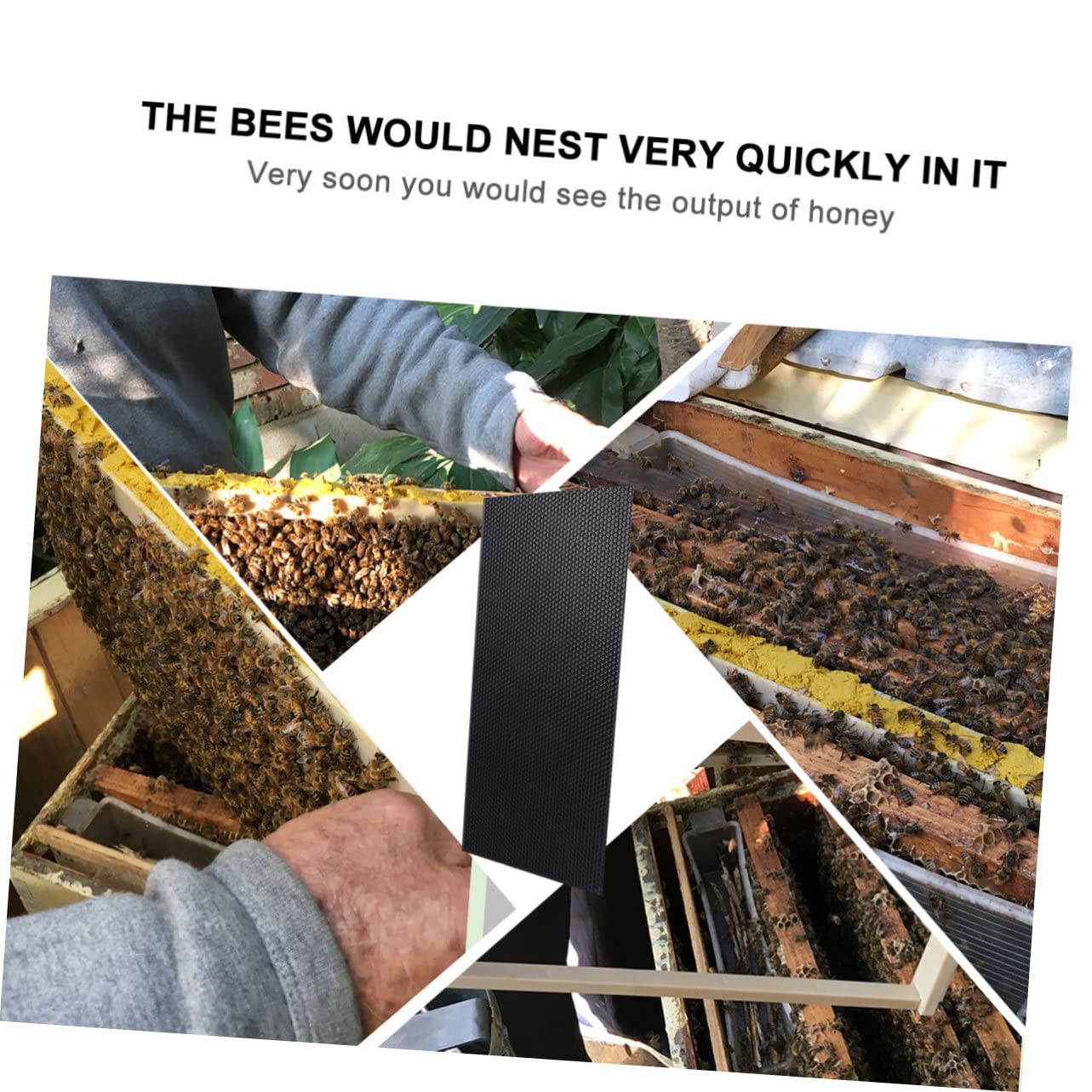 6 Stück Schwarze Kunststoff Bienenstockbasis für Bienenstock