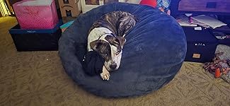 Review Image by sam ferguson sam ferguson