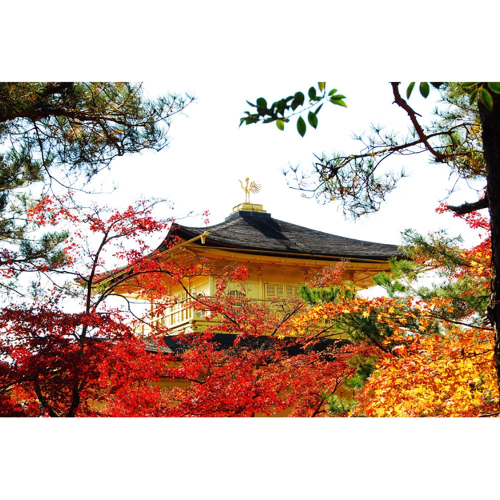 Mount Fuji 3000Pcs Wooden Puzzle, DIY Modern Home Decoration Mural, Assembled Educational Toys, Famous Scenery