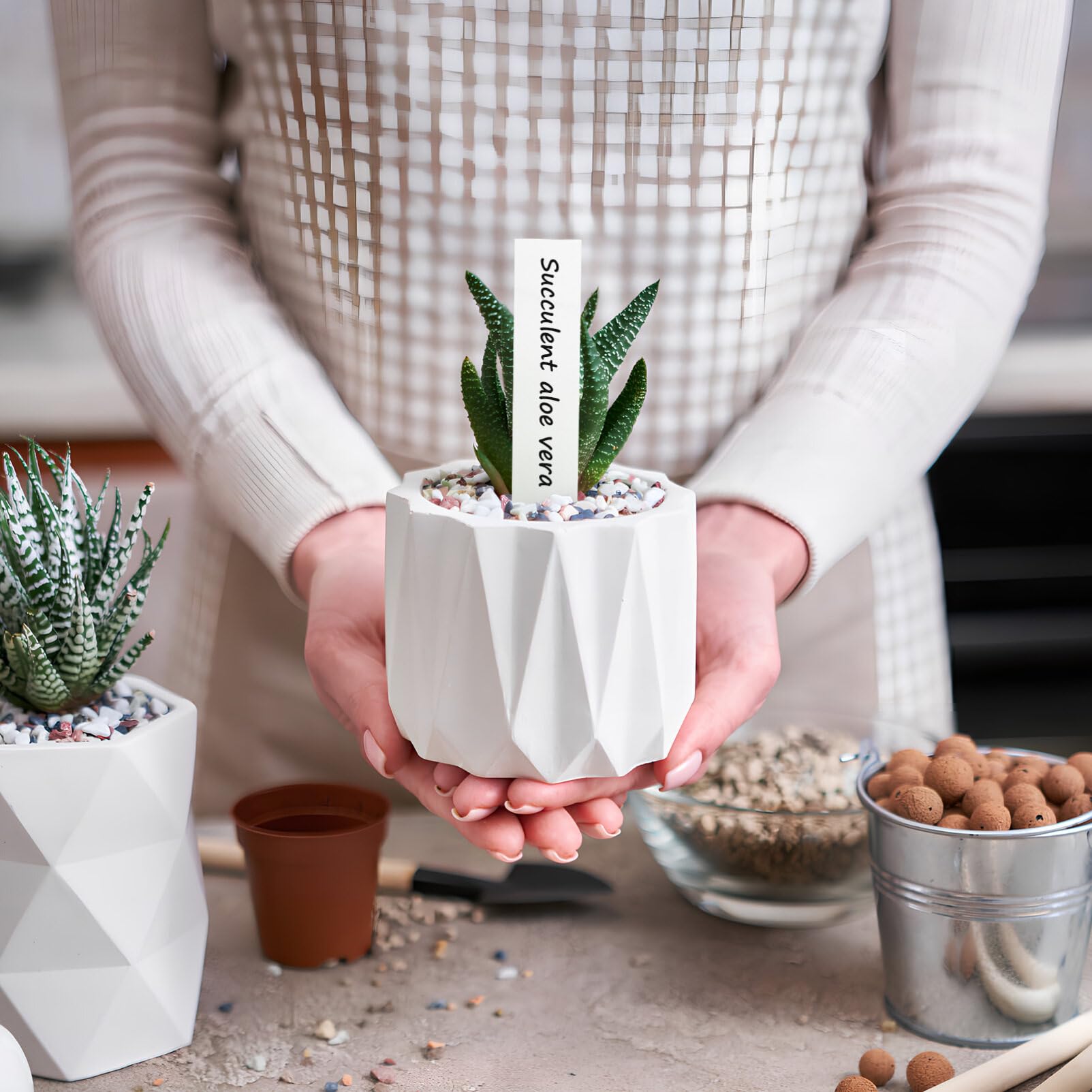 INOOMP Plastic Plant Tags with Marker Pen, 120pcs Gardens Plant Labels Tags Potted Plants Signs Nursery Garden Labels Pot Marker Plant Name Stake Tags for Potted Plants