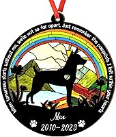 Vista 20 de Adorno de atrapasoles de setter irlandés personalizado, adorno de Navidad de Setter irlandés, regalo para perro amante, setter irlandés