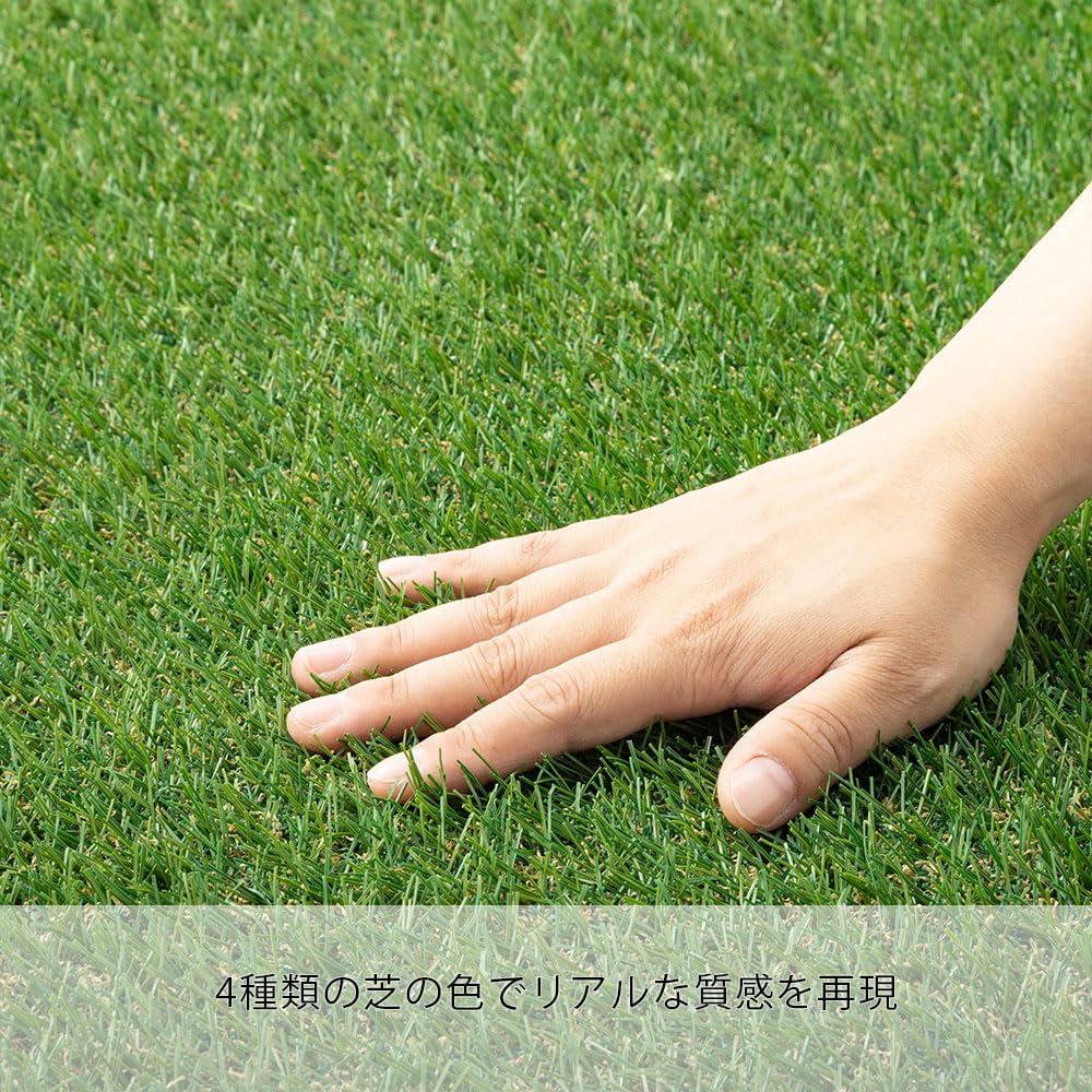 Amazon | カインズ(CAINZ) 丸巻リアル人工芝 パイル長さ20mm 2m×4m