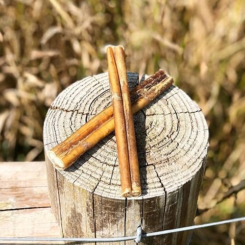 Miniatura 6 de Palitos Bullysticks Organic para perros. Gran bolsa que contiene 10 premios bajos en olor para perro. Carne de res natural y de calidad superior.
