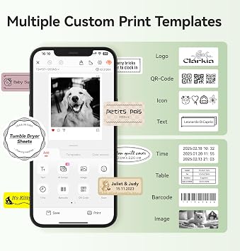 NIIMBOT B21 Pro Etiket Yapıcı Makine, Termal Etiket Yazıcısı, Ev/Ofis/İş için Taşınabilir Mürekkepsiz Etiket Yapıcıları, 1 Paket 50x30mm Beyaz Etiket ile, iOS ve Android ile Uyumlu, (Yeşil)