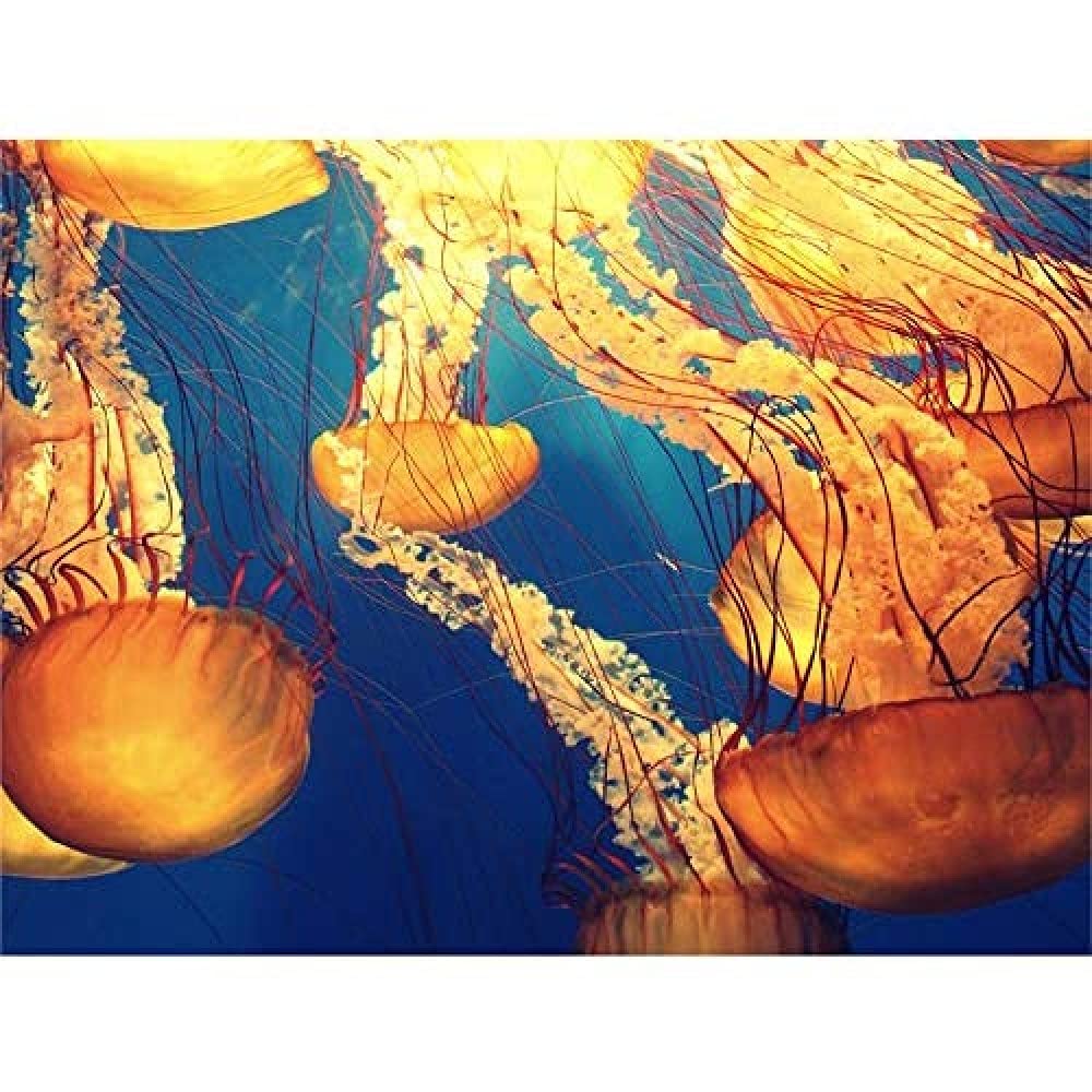 Jellyfish Group Underwater Ocean Wall Art Print