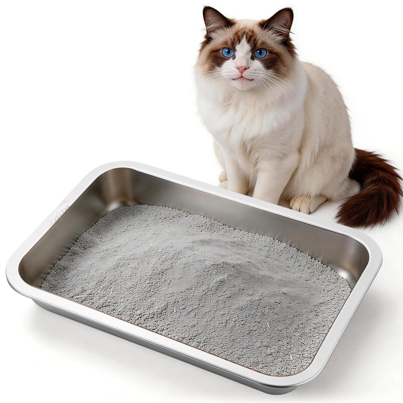 UKCOCO Stainless Steel Cat Litter Tray, Small Metal Litter Box for Kittens and Small Pets, Low Entry Kitten Pan for Odour Control, Easy Clean Rust Proof Open Pet Tray, 31.5x21.5cm