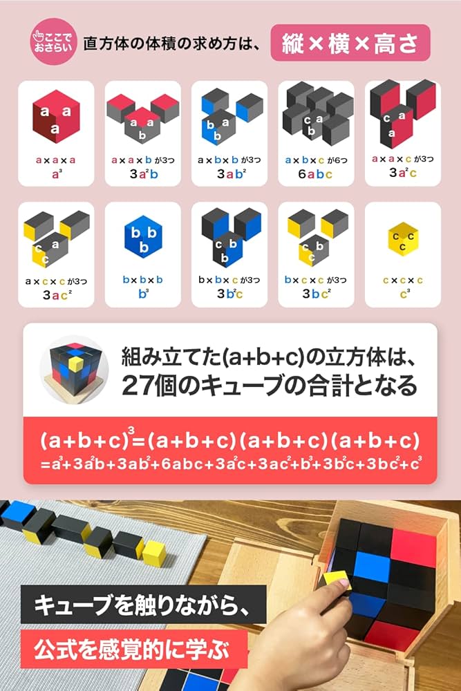 モンテッソーリ　感覚教具　二項式　三項式　セット MonteMia 【セット】二項式・三項式 | モンテッソーリ 感覚教具