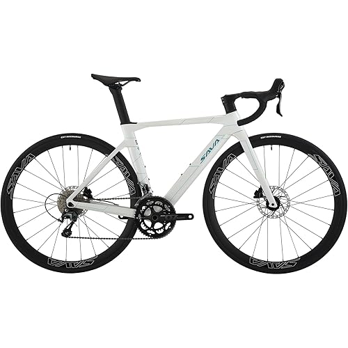 SAVADECK Carbon Road Bike, T800 Carbon Fiber Frame 700C Racing Bicycle with Shimano R4700 20 Speed Groupset and Hydraulic Disc Brake, Ultra-Light Carbon Bike for Adult