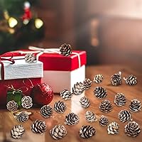 Vista 4 de 200 piñas de pino naturales de Navidad, minipiñas de pino de Acción de Gracias, adornos de piñas de Navidad a granel para decoración del hogar