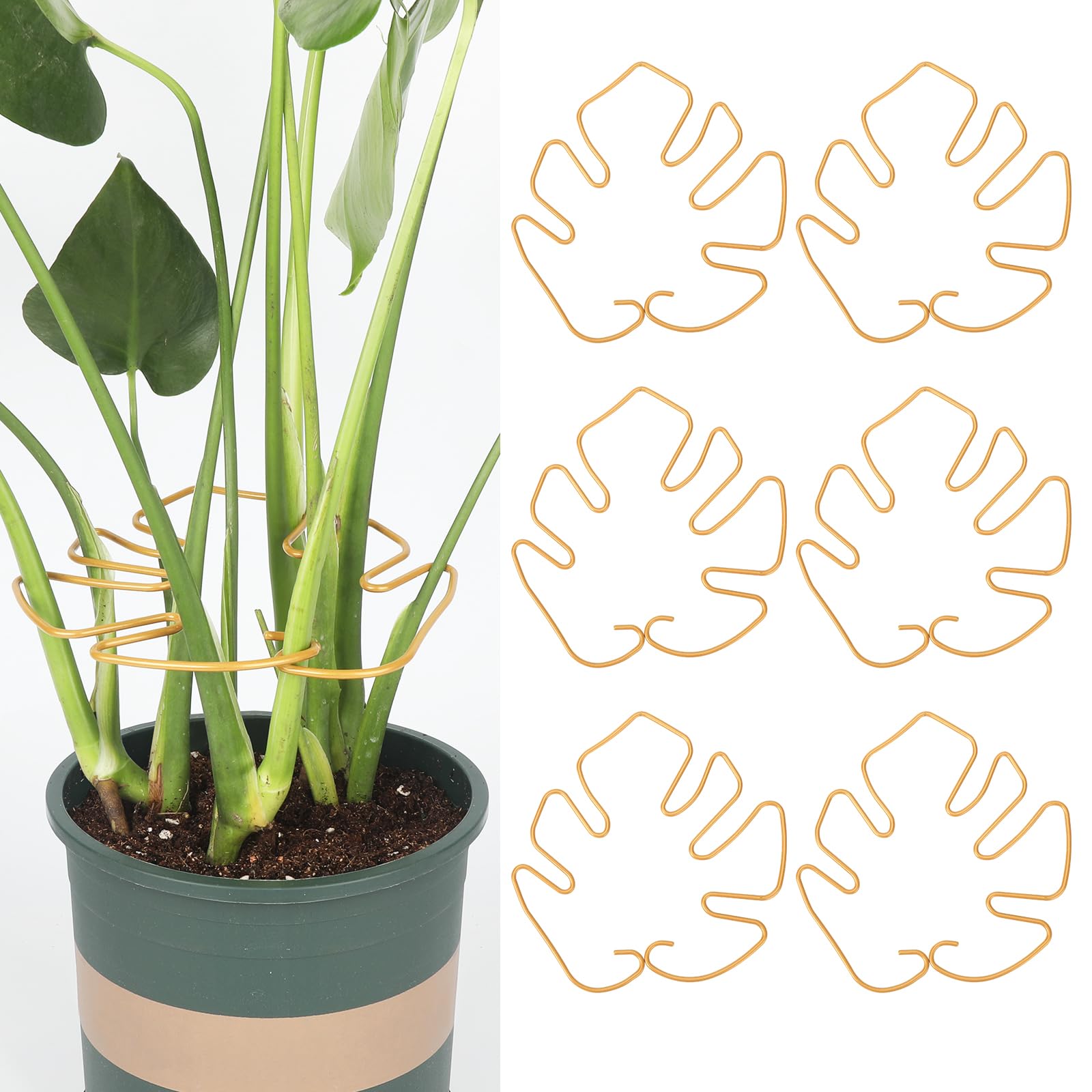 Monstera Lot de 6 supports de tige pour plantes d'intérieur, design unique pour plantes grimpantes, ensemble de pinces en bambou en coquillage de tortue, support parfait pour une croissance