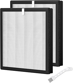 2 Pack G3 Replacement Filter for AMEIFU G3 Sferf-30 (FXAP...