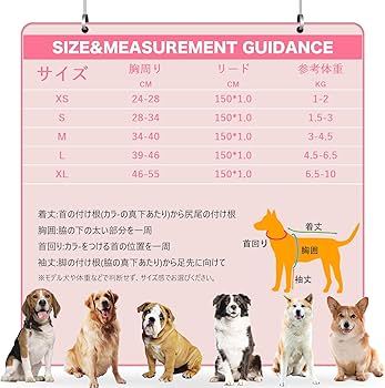 Amazon | KUVEELA PET ペット用ハーネス＆リードセット 犬 ハーネス 犬