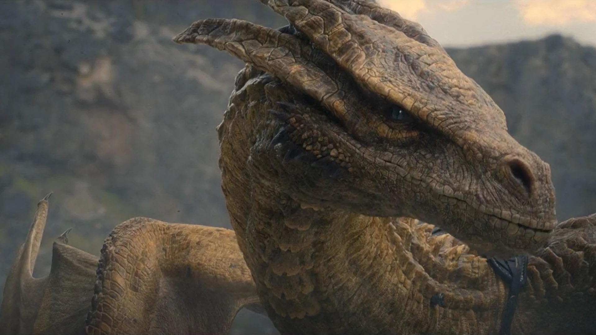 House of the dragon - saisons 1 et 2