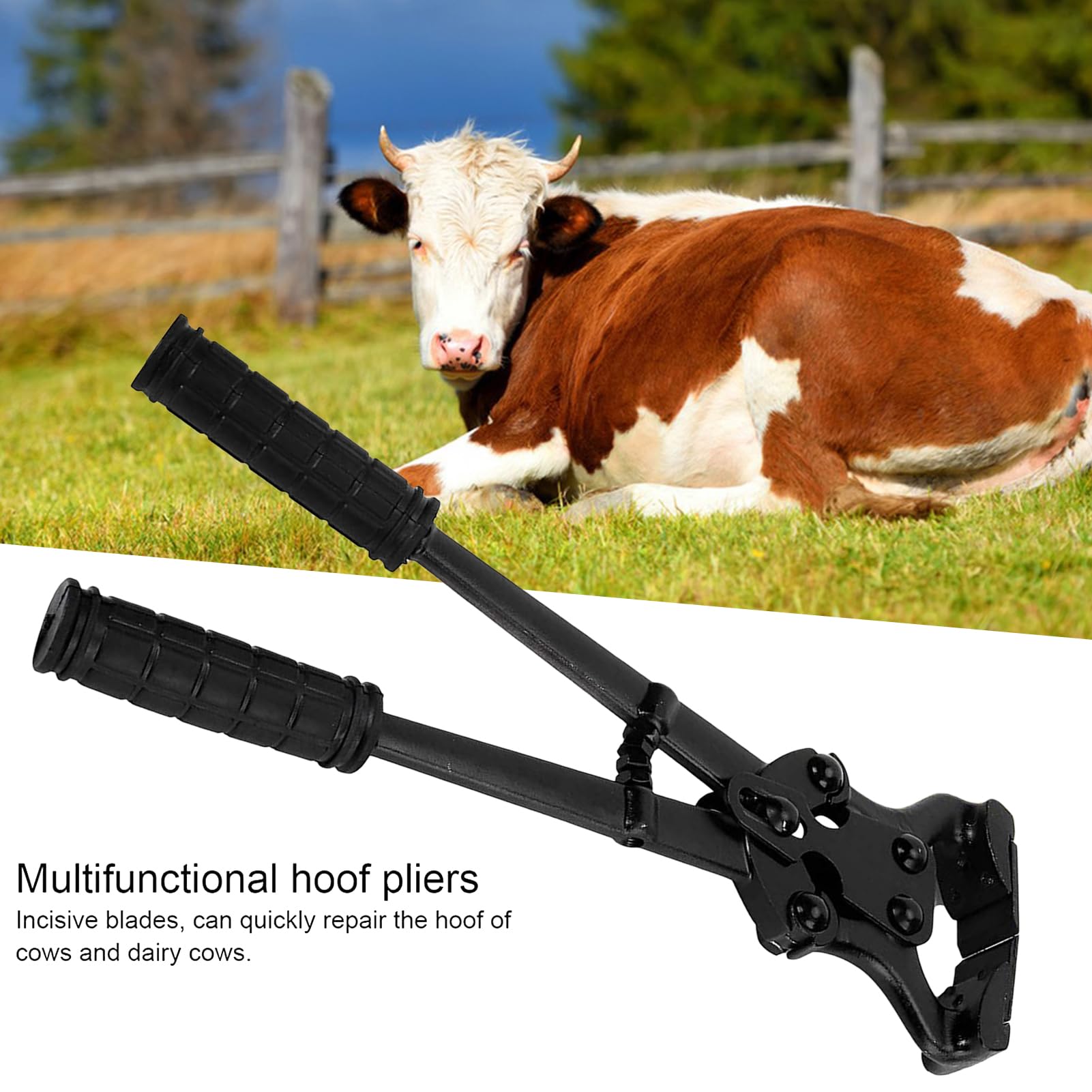Alicates Para Cascos De Caballo Herramientas Y Dispositivos De Reparación | Tenazas De Acero Al Carbono Para Cabras Ovejas En Caballos Ganado Bovino Alpacas Y Ovejas