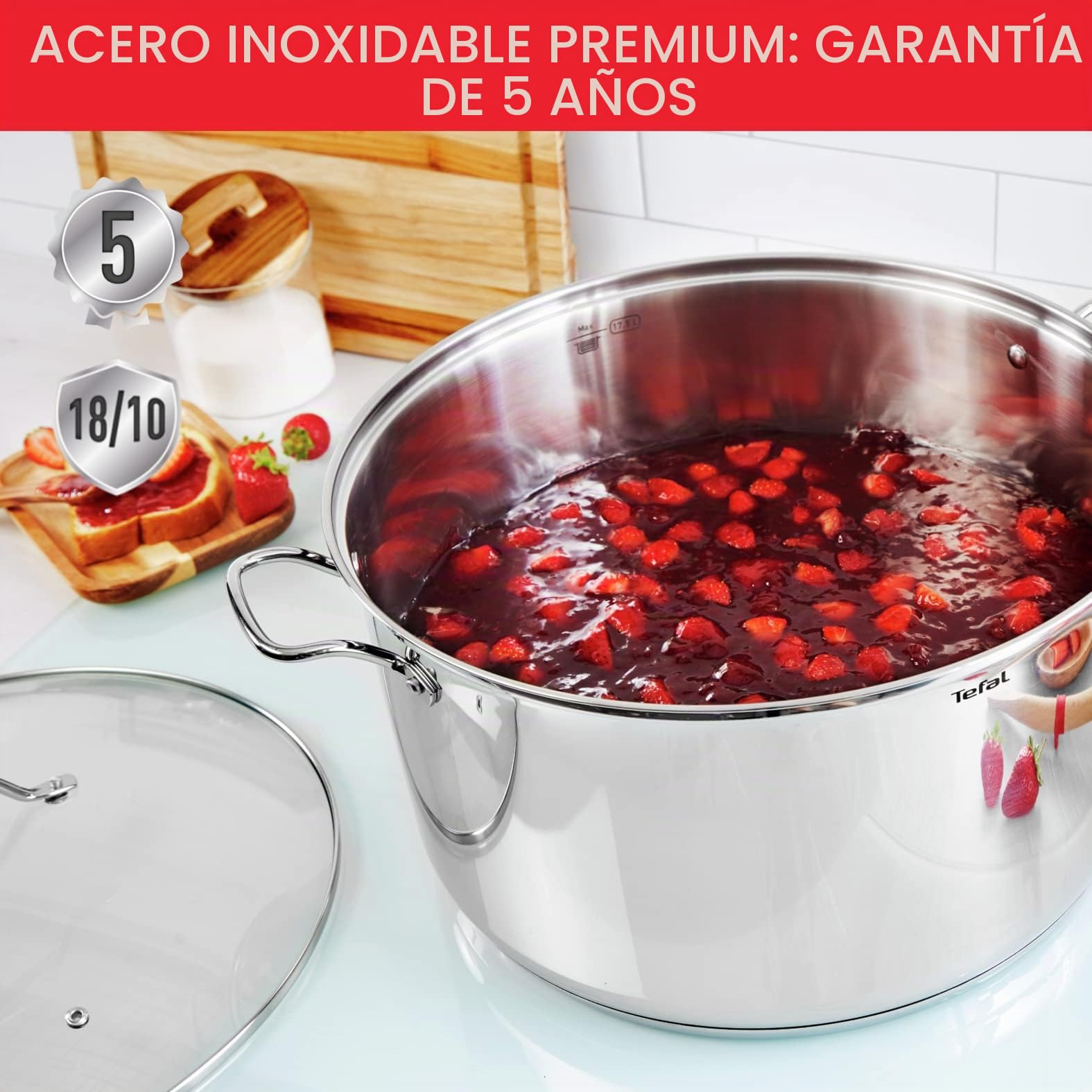 Tefal Intuition XL - Olla grande (acero inoxidable, 30 cm, 10 L, inducción, 5 años de garantía, acero inoxidable 18/10 de primera calidad, talla XL, asas resistentes, tapa de cristal B8646904