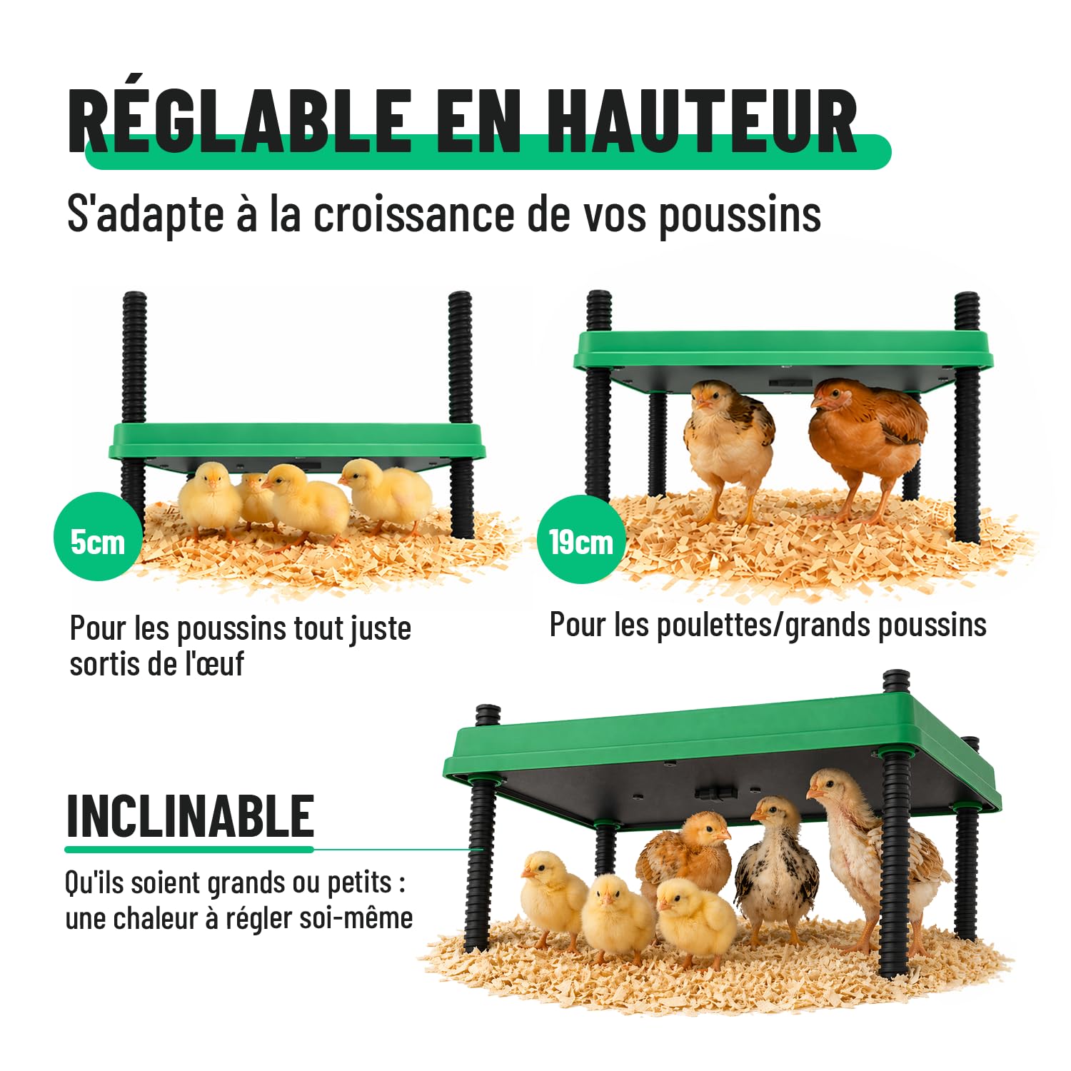 greate Plaque Chauffante Poussin 80 W réglable 10-70 °C avec écran LED - Panneau Chauffant Poussin hauteur réglable 30 x 30 cm - Plaques Chauffantes Abreuvoirs | Plaque chauffante pour poussin - Hauteur réglable de 10 à 70 °C - Avec affichage LED - Plaque