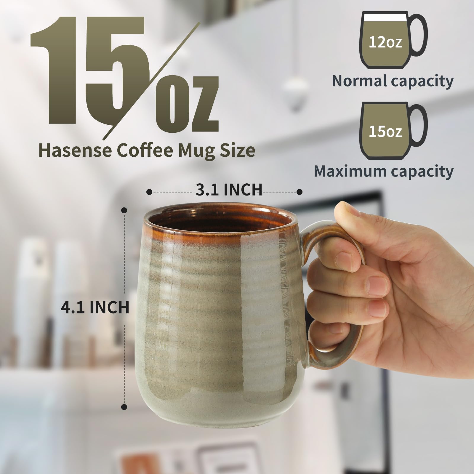Hasense Set di 4 tazze da caffè in ceramica, 425 ml, tazze da caffè in porcellana, per tè, latte, cioccolata calda, tazze da caffè grandi, adatte al microonde e alla lavastoviglie, colore: grigio