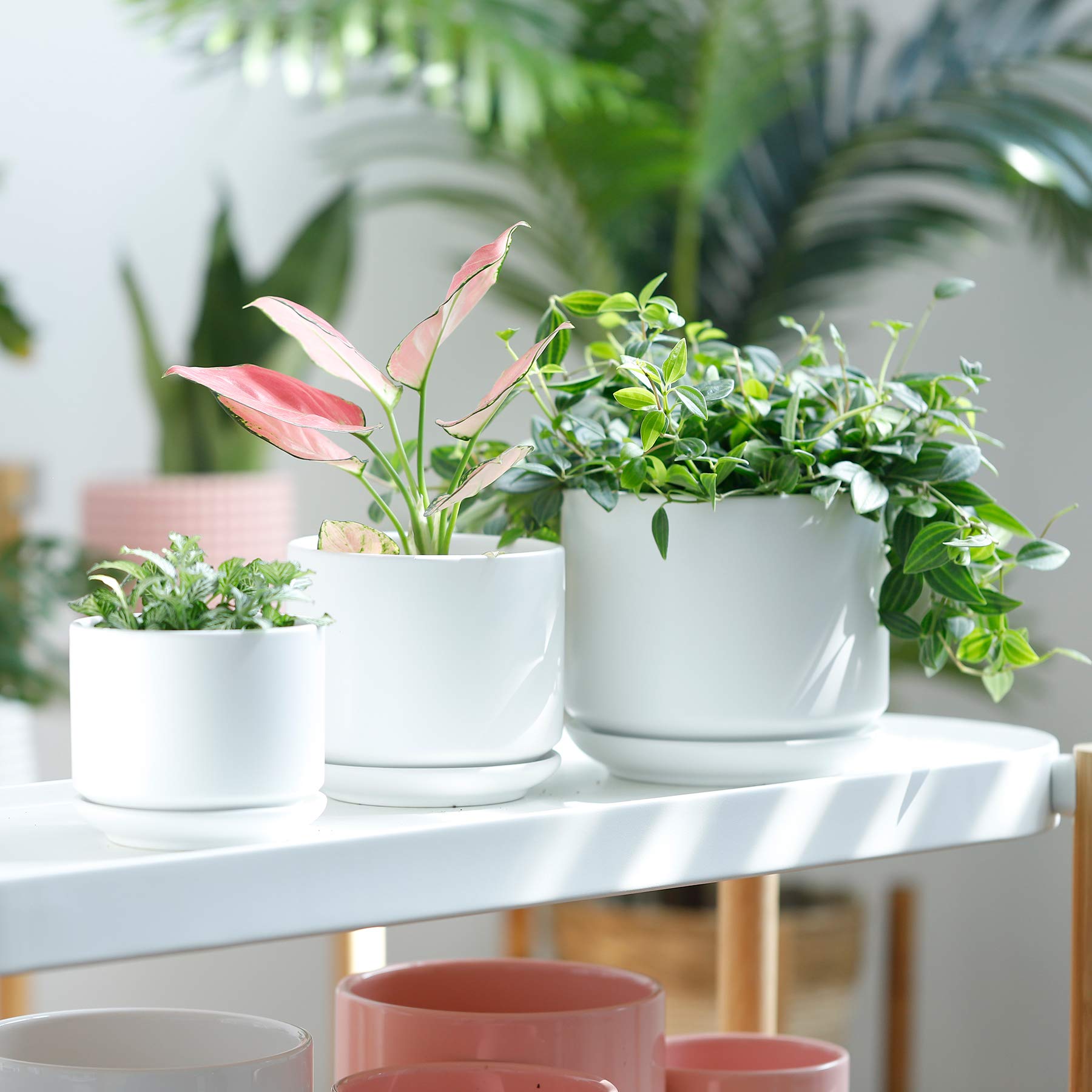 Amazon.com : POTEY Planters Pots for Plants Indoor - 4+5.5+6.5
