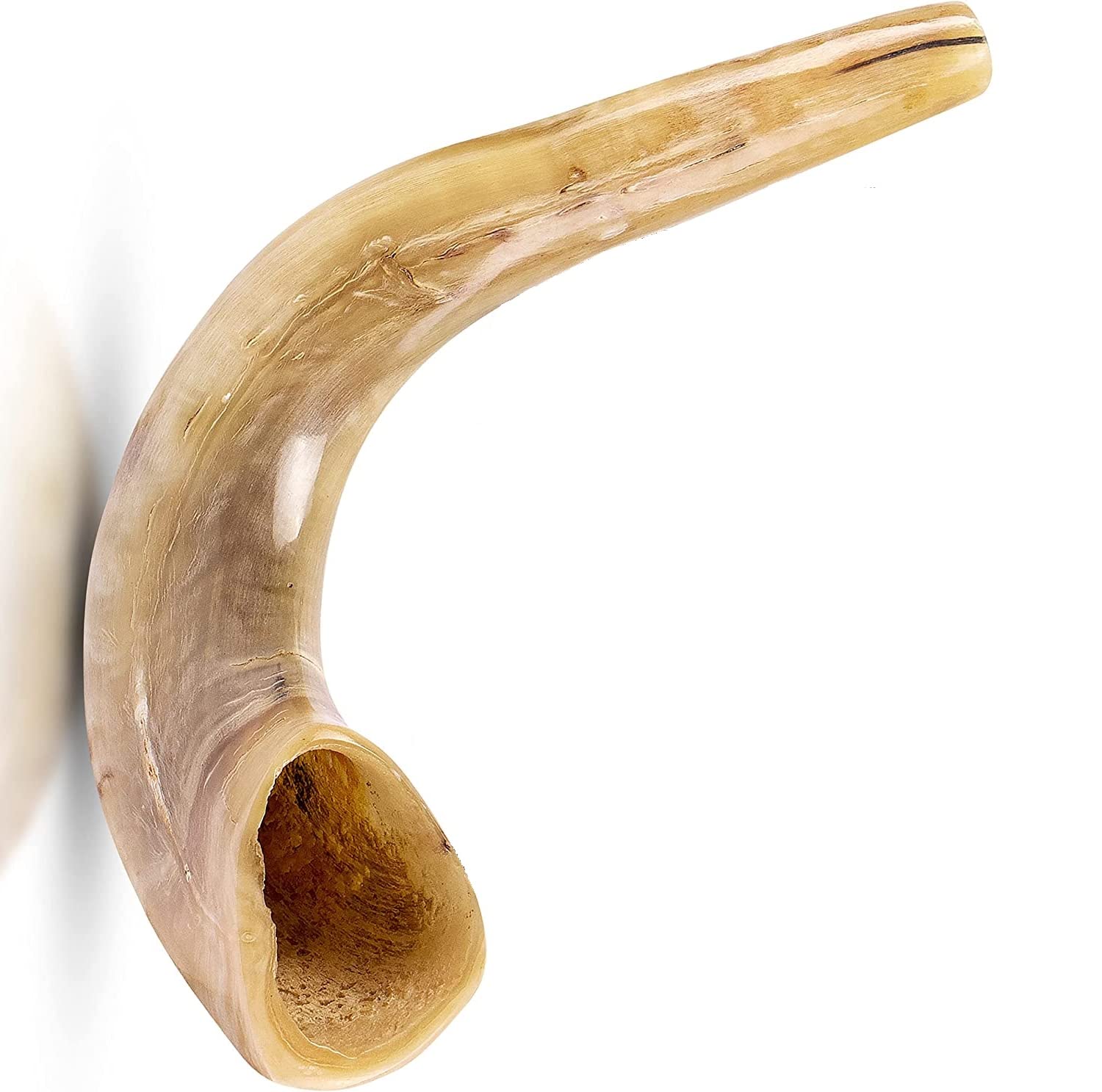 Ram's Horn Shofar Kosher Mini 10