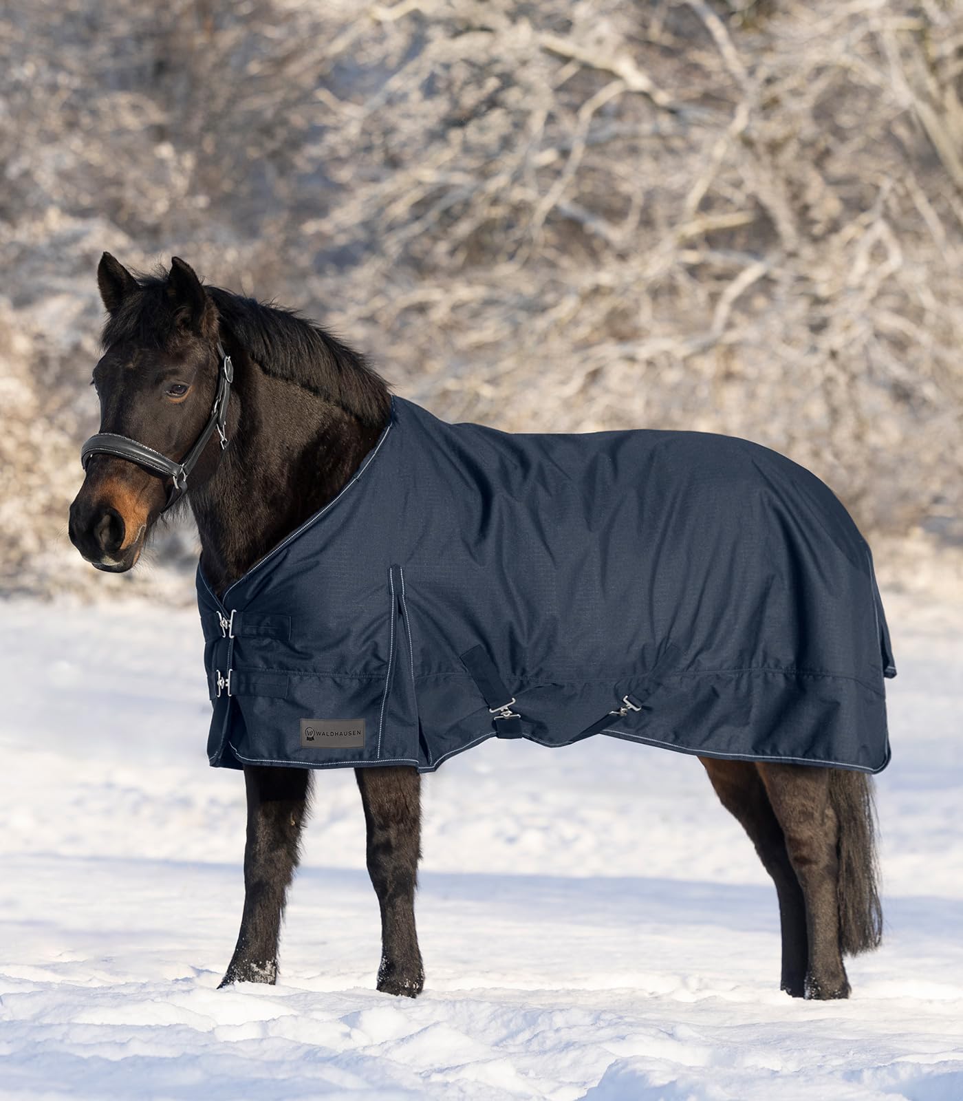 Waldhausen Manta Nordic para exteriores, 50 g, color azul oscuro, 165 cm