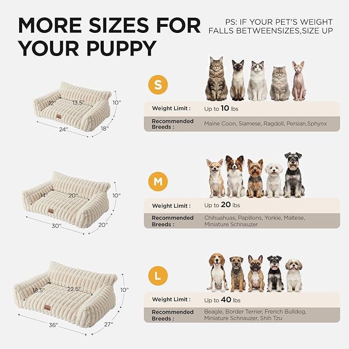 Cama Sofá para Mascotas Pequeña con Funda Lavable miniatura 5