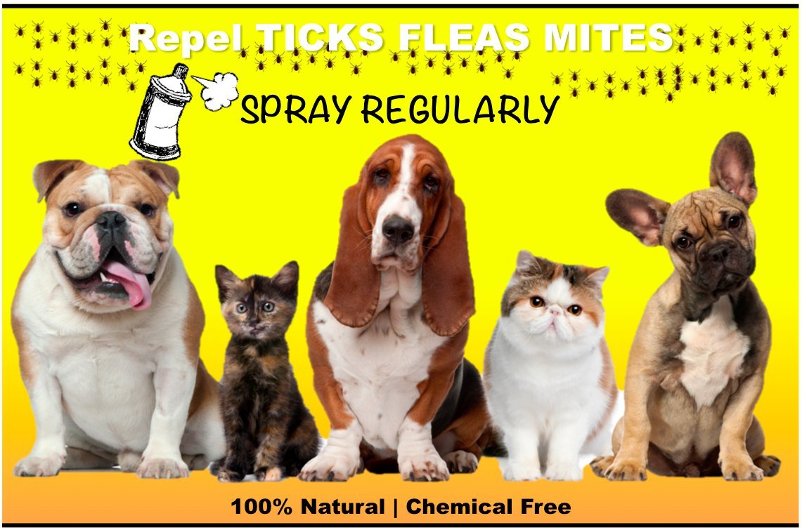 CERO® 100% Natural Spray to Ward Off Ticks, Fleas & Mites for Pets (Dog/Cat/Others) (200ml) 4