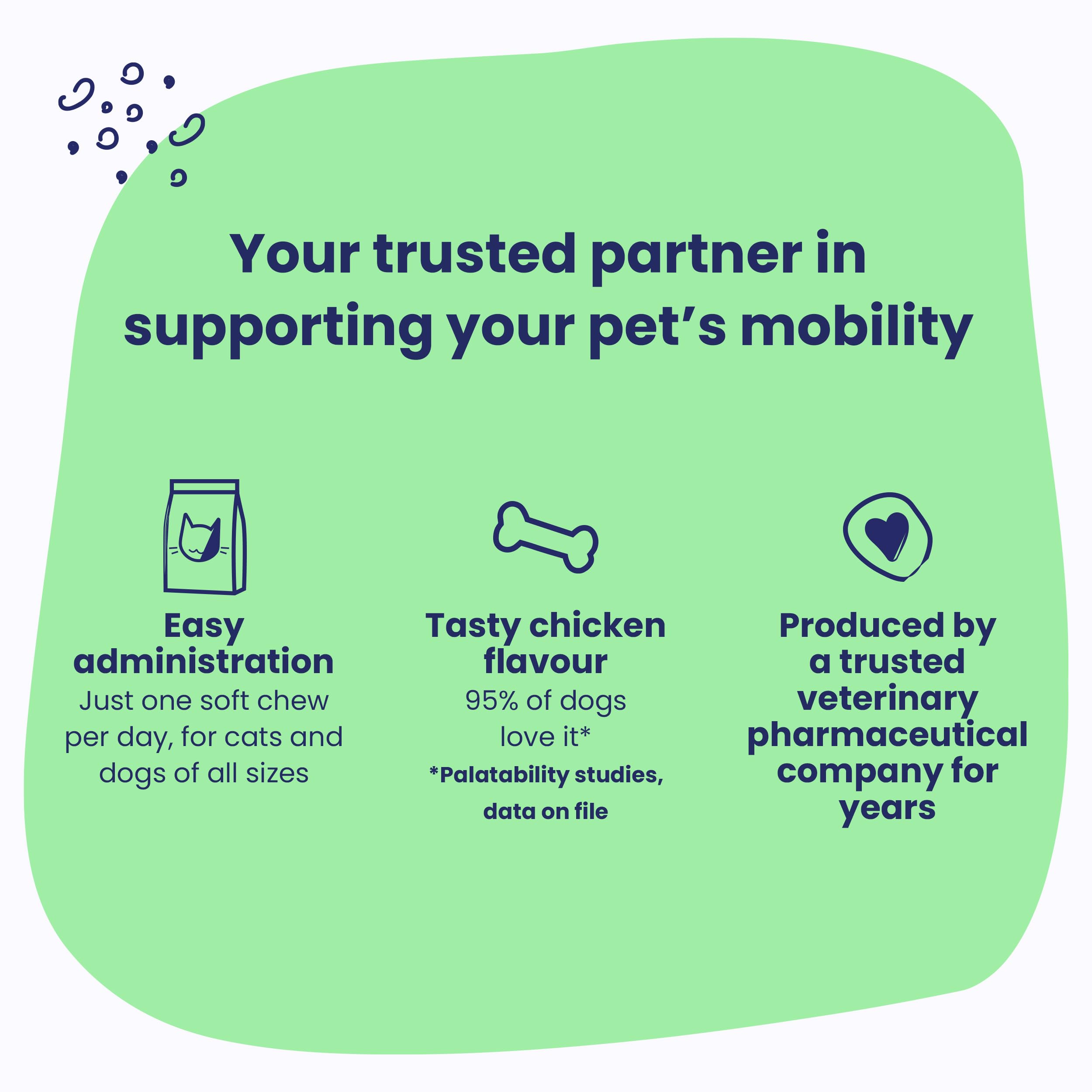 Vetoquinol Flexadin Advanced (with boswellia) – Dog Joint