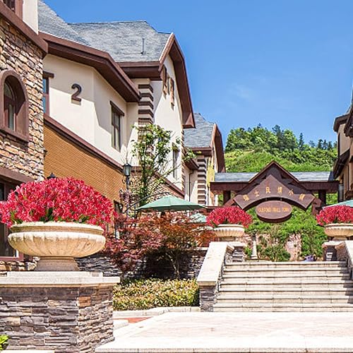 Miniatura 9 de URSTOUD 10 paquetes de flores artificiales de narcisos, vegetación artificial artificial, resistente a los rayos UV, no se decolora, flores de