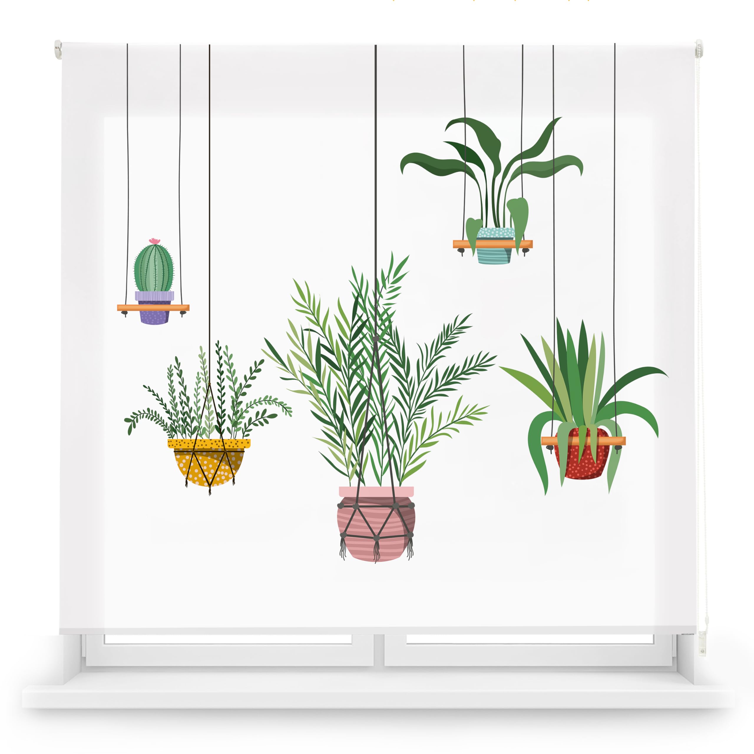 Blindecor Digital | Estor Enrollable Translúcido Estampado |Familia Cocina| Modelo C-Colgantes | 170 x 180 cm (Ancho por Alto) Tamaño de la Tela 166 x 175 cm | Estores para Ventanas