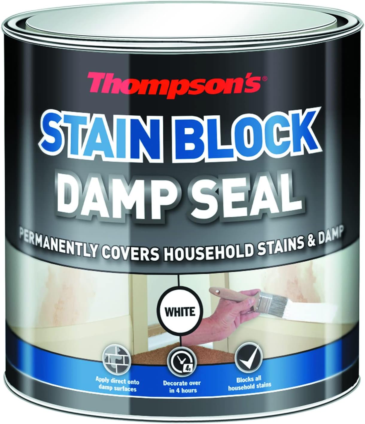 TDS250 250ml Thompsons Damp Seal