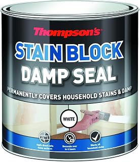 TDS250 250ml Thompsons Damp Seal