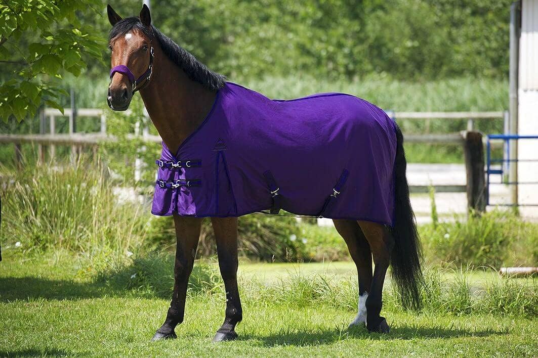 (Ekia) 3338025591409 Horse Riding Equipment Blue & Gray ETH.COTT.Sheet Grey/Blue 6'6 400065166, oner Size, Other